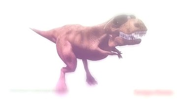 Tablas de Snook y Criello