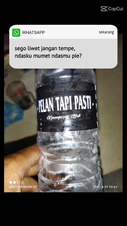 story wa terbaru arak bali