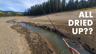 Fishing a Weird (But Productive!) Roadside Creek (Tenkara Fly Fishing)