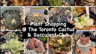 Plant shopping @ The Toronto Cactus & Succulent Club. @torontocactusandsucculentc162