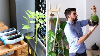 Mes plantes d'appartement - Entretien des terrariums et jardinière
