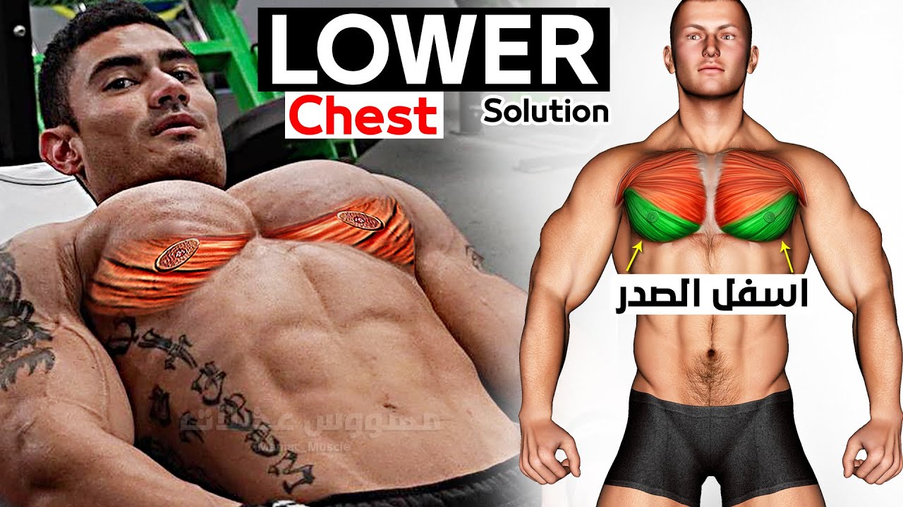 лучшее упражнение для тренировки нижней части груди 🔥