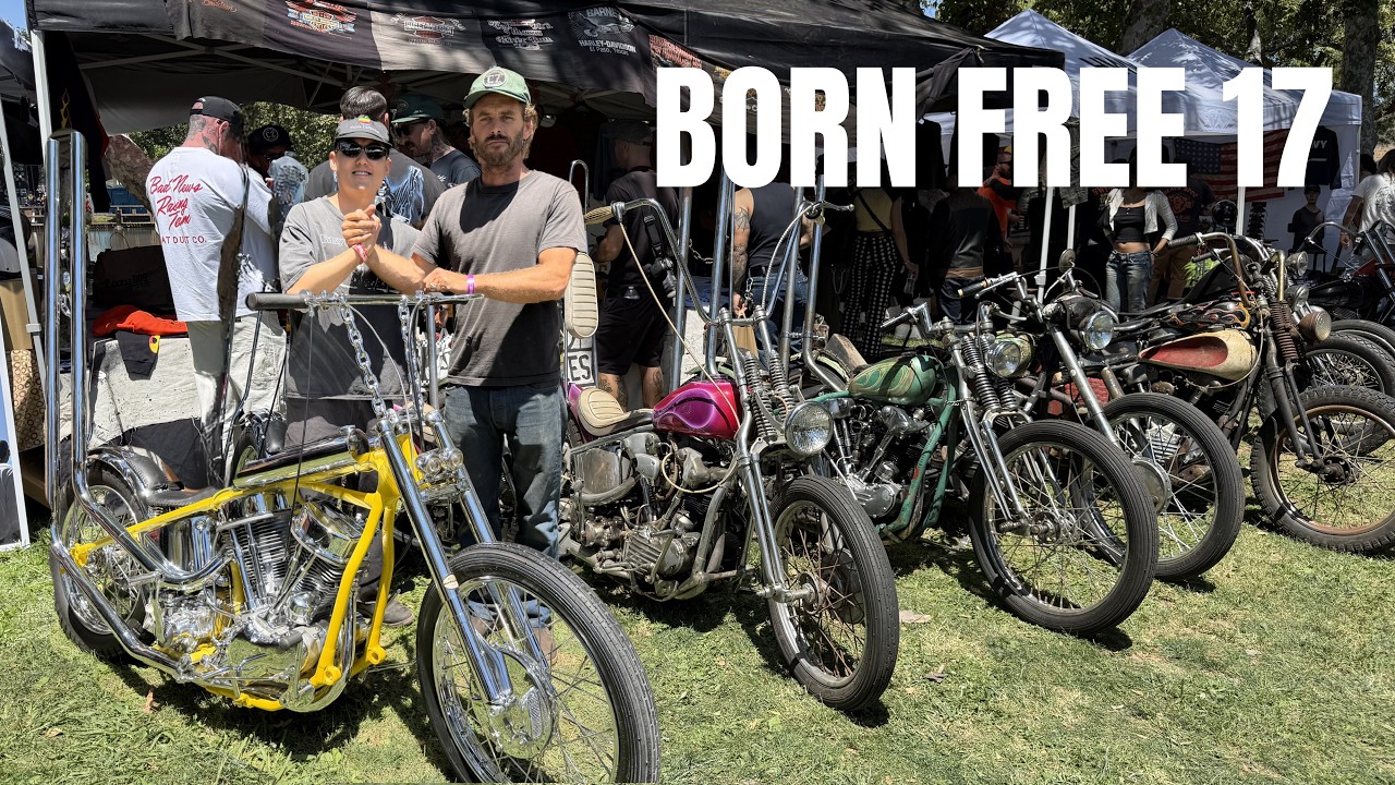 Born Free 17 - Exploring HWY, Cycle Zombies, 4Q & More! - YouTube