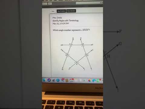 Delta - Identify Angles with Terminology