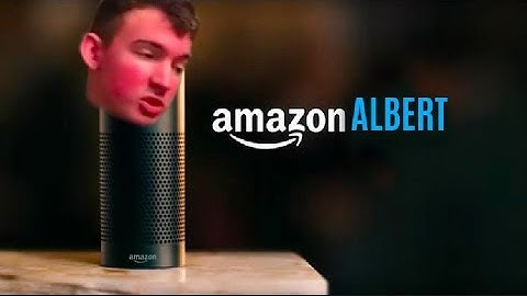 Introducing : Amazon Albert/Flamingo