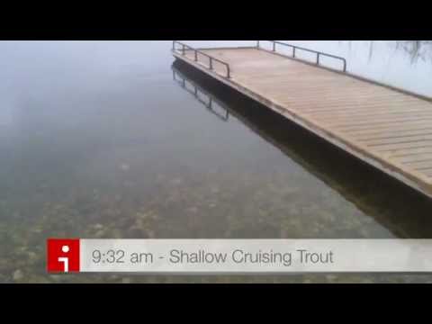Battling Browns - A View From the Tube, Patterson Lake, Manitoba