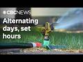 Calgary has a new summer watering schedule