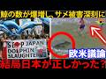 🇺🇸『天罰か？』🇦🇺反捕鯨活動でサメ被害が爆増に現地民が困惑。欧米から日本を擁護するコメントが続出中