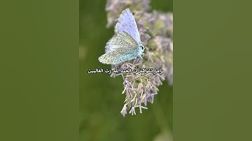 سورة يونس، الآية 10