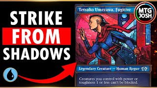 Tetsuko's Unblockable Strike Force