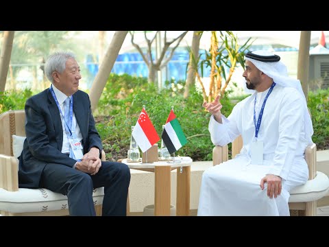 على هامش 28 سيف بن زايد يبحث التعاون مع وزير الأمن السنغافوري