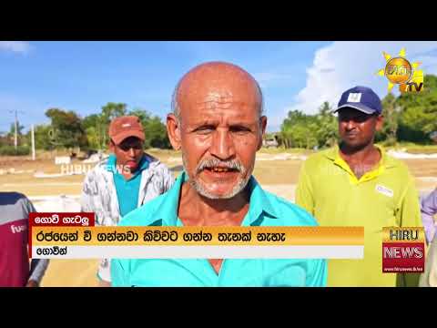Farmers criticise government over ongoing paddy procurement issues - Hiru News