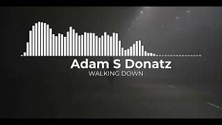 Adam S Donatz - WALKING DOWN