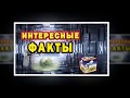 23 совершенно обычные вещи, какими вы их еще не видели