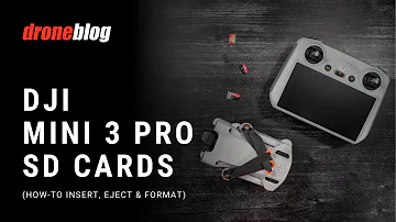 DJI Mini 3/Mini 3 Pro SD Cards: How to Insert, Eject, and Format