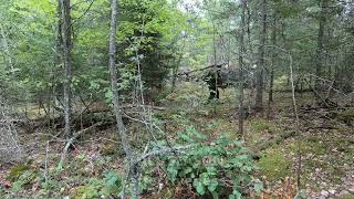 Cadpat Tw Camouflage Effectiveness In Fall Season Canadian Forces Camo Pattern 02