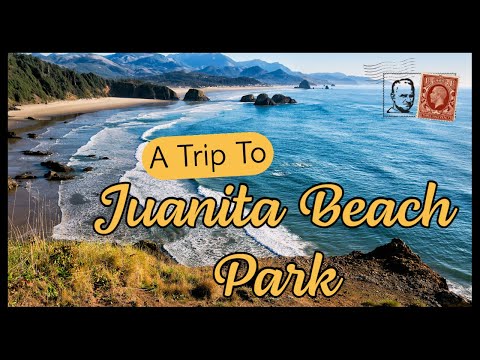 Why You SHOULD Travel Alone | JUANITA BEACH PARK Kirkland WA USA (4K 60FPS) #youtube #video #travel