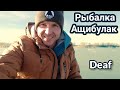 Алматинская область. Рыбалка. Ащибулак. @Deaf - Дмитрий Орехов.