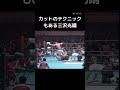 カットのテクニックもある三沢光晴@キャリア40年以上のプロ馬券