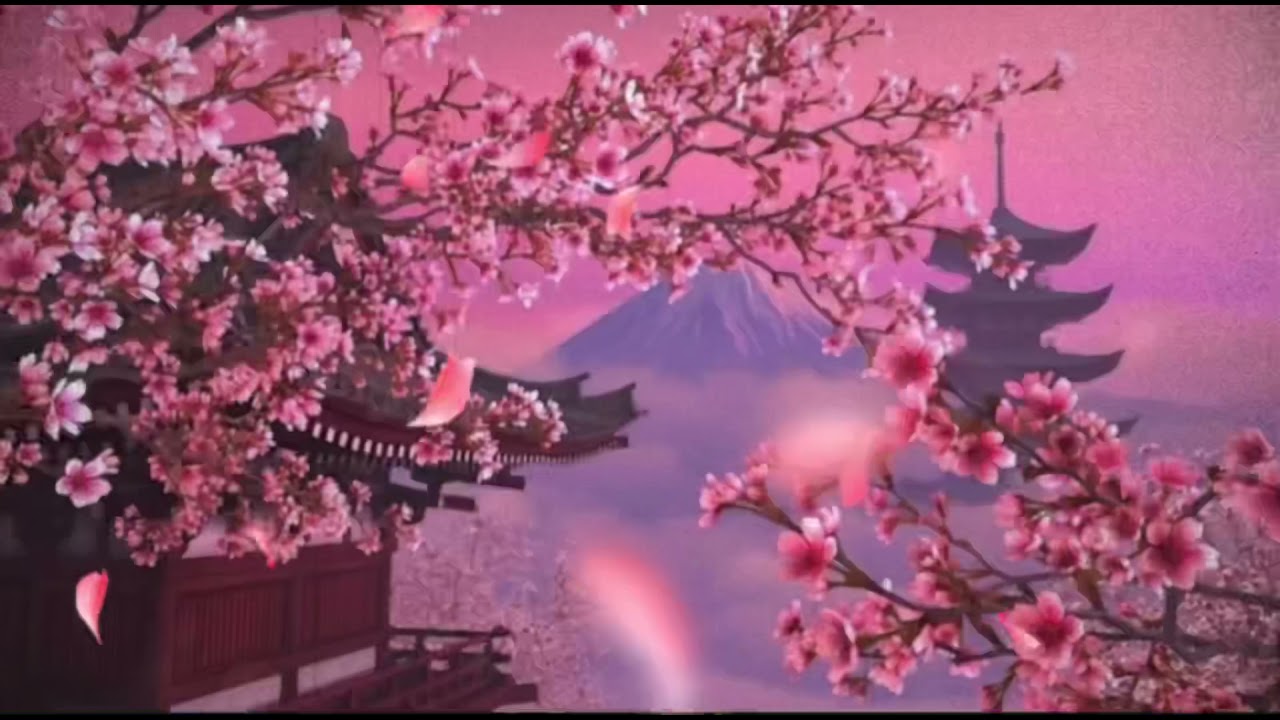 [Tra Benz] BlacK Panda ( china song )