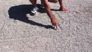 Is Your Horse Out Of Control At The Canter?