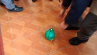 VID 20140828 123424561
