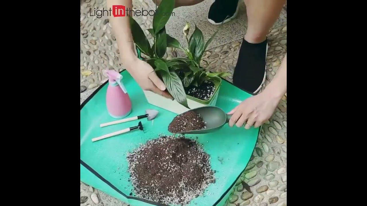 Great quality products-H&G-A2-ZXD-F-20220906-8988792-H&G-practicality-NO-ACE-SC