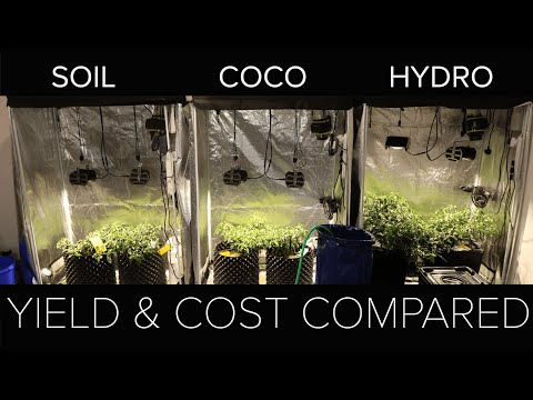 Video: Hvad er forskellen mellem hydroponics og jord?