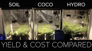 Soil vs Coco vs Hydro yield result & overall comparison screenshot 5