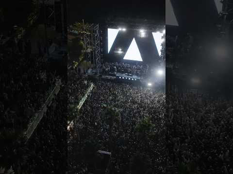 When the melody lifts, the whole room floats, that’s the magic of this sound#artbat