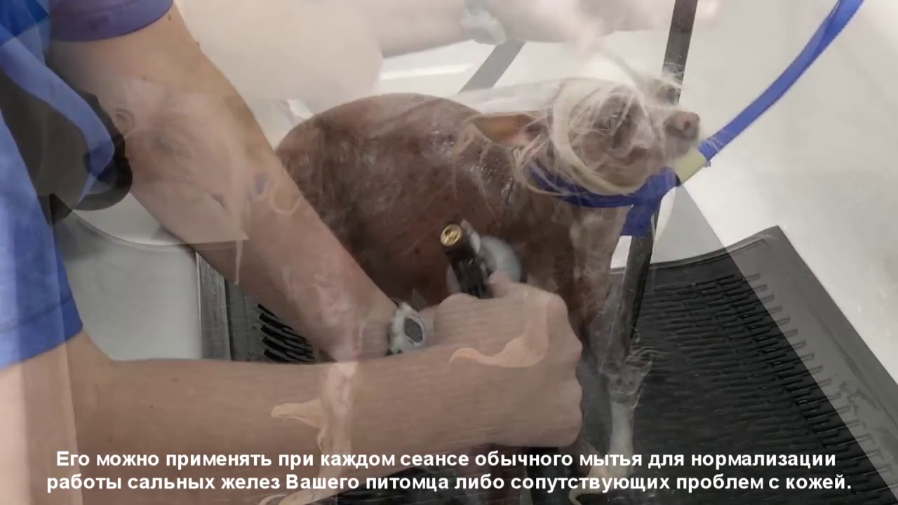 Шампунь Davis с бензоилпероксидом