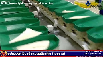 "TECHIK" Multi-tray weight sorting machine for fish