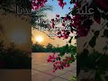 دعاء النبي سيدنا محمد صلى الله عليه وسلم #viralvideo #اكسبلور #fypシ゚viral #صلوا_على_النبي #اللهم