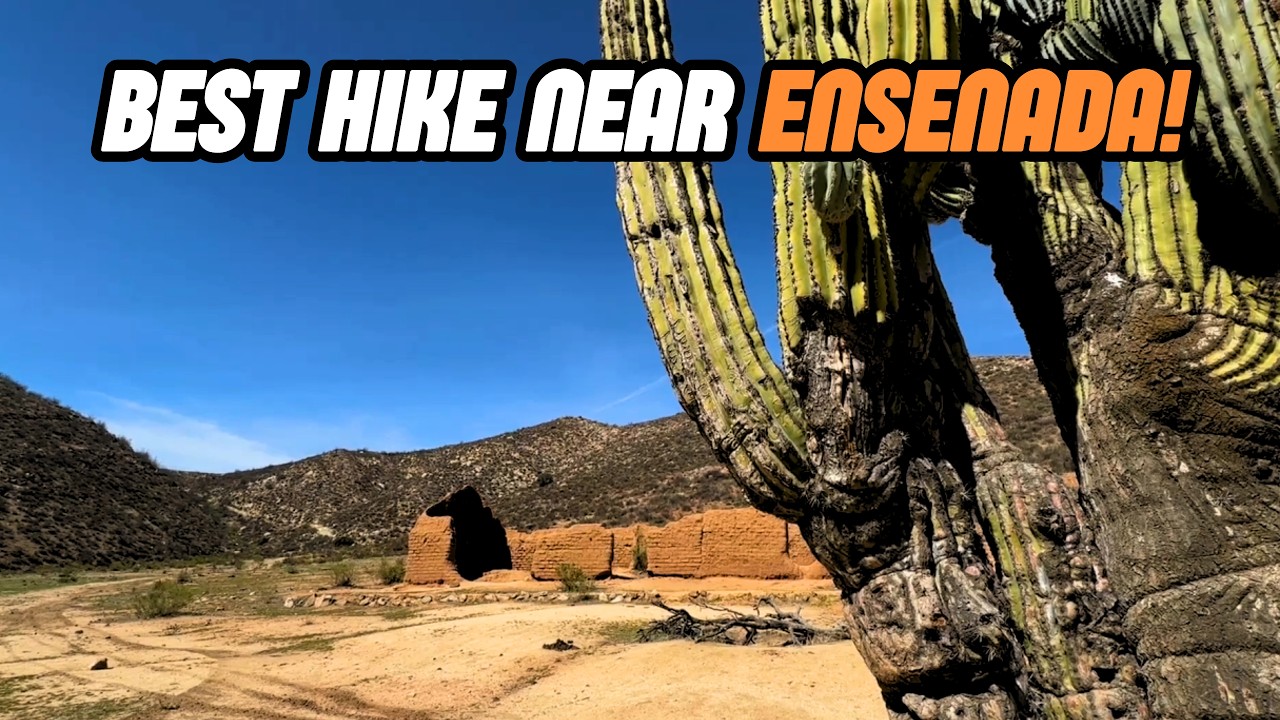 The BEST hot springs in Valle de Guadalupe! 