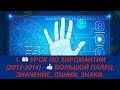 1. 🤲🏻 УРОК ПО ХИРОМАНТИИ (2012-2014) - 👍🏻 БОЛЬШОЙ ПАЛЕЦ, ЗНАЧЕНИЕ, ЛИНИИ, ЗНАКИ.