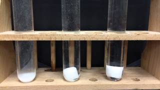 Dissolving sugar cubes in water and ethanol