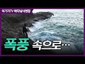 극한조행 ... 파도를 이용하는 강풍 속의 찌낚시!