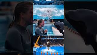 Download Lagu Ek Dolphin Apne Malik ko kha Gaya😭😭😭#sosad#dolphins #malik #kill #viralvideo #shortvideo #daily MP3 Download Lagu Ek Dolphin Apne Malik ko kha Gaya😭😭😭#sosad#dolphins #malik #kill #viralvideo #shortvideo #daily MP3