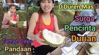 D'Duren Mas Surga Pecinta Durian Taman Dayu Pandaan Pasuruan