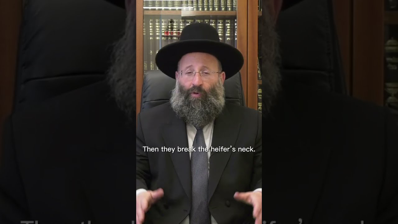 פרשת השבוע פרשת שופטים