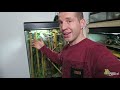 Beginning of video