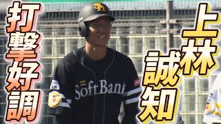 【状態◎】好調の上林誠知が紅白戦で2点タイムリーを放つ！