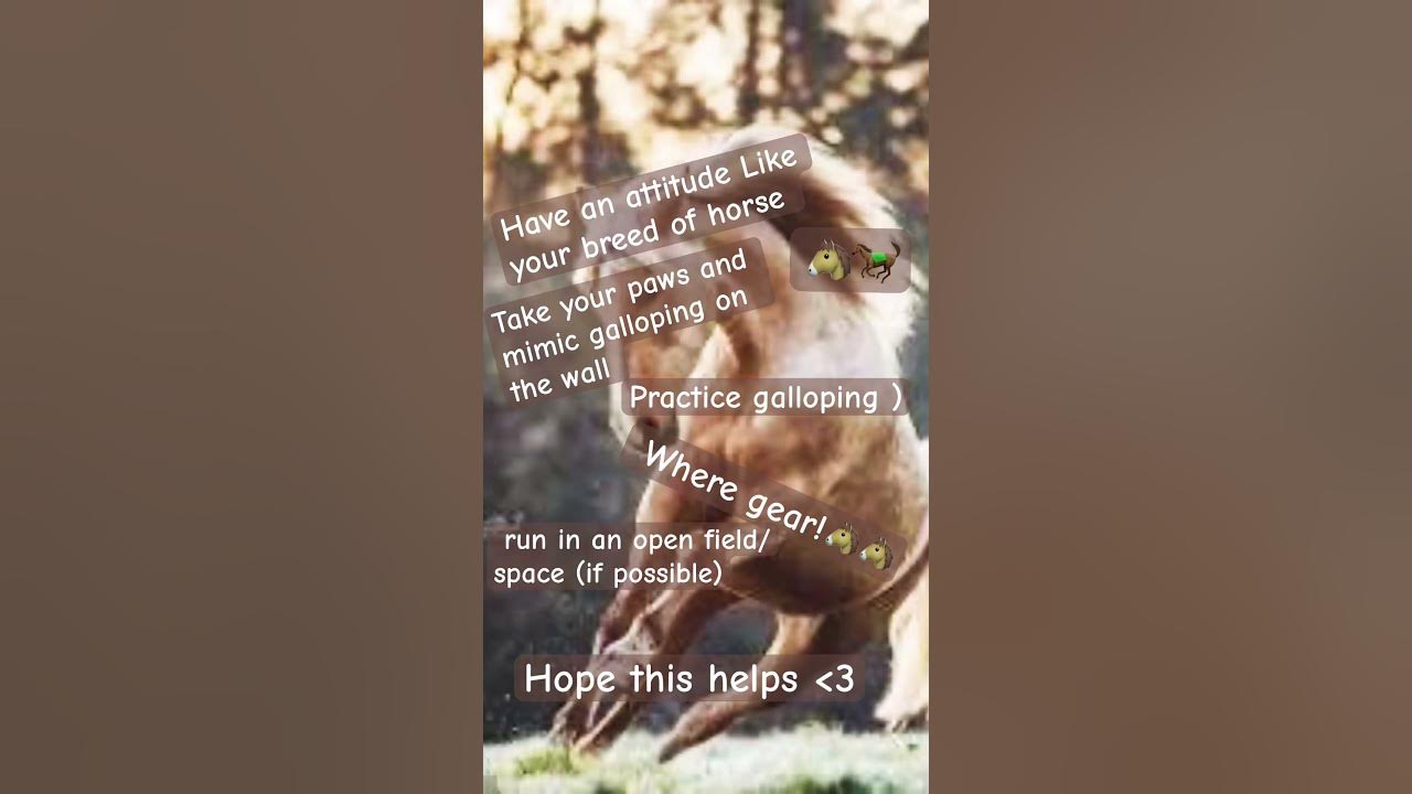 tips-for-horse-therians-3-therian-quadrobics-fox-horse-youtube