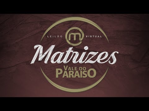 Lote 15   BONY 2443 Copy