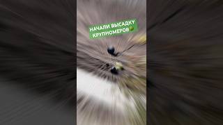 Это Нормально?