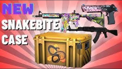 Snake Bite Case Opening! NEW CS GO CASE