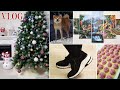 VLOG: 🎄УКРАШАЮ ДОМ🎄, КАРТИНЫ по НОМЕРАМ, ВСЕ наши ЧЕТВЕРОНОГИЕ, ПОКУПКИ ОБУВИ, ЗЕФИР на АЛЬБУМИНЕ