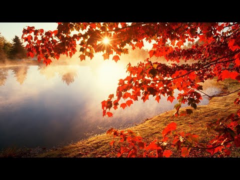 ვალს-ბოსტონი (დემო-ვერსია)