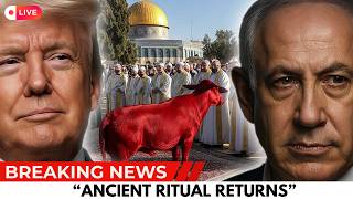 THIRD TEMPLE UPDATE Perfect Red Heifer Approved, First Stone to Be Laid Soon