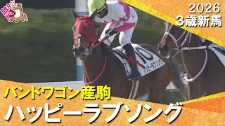 単勝４０倍超えの伏兵ハッピーラブソングがデビュー勝ち！高杉吏麒騎手「地力で踏ん張ってくれた」2026年1月11日(日)３歳新馬　京都ダート1800m　実況：服部優陽【カンテレ公式】